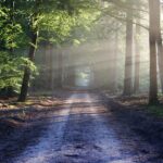 Bundesprogramm „Healthy People“