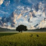 Health Resources & Services Administration